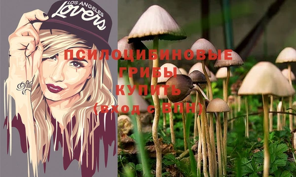 крисы Богданович