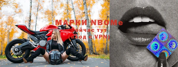 кокс Богородицк