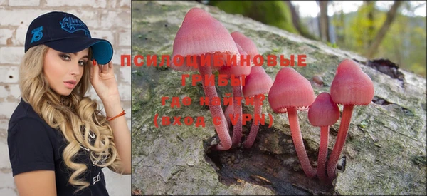 крисы Богданович