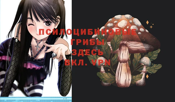 крисы Богданович
